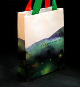 Rabeanco christmas'shopping bag | Mei Han Tang