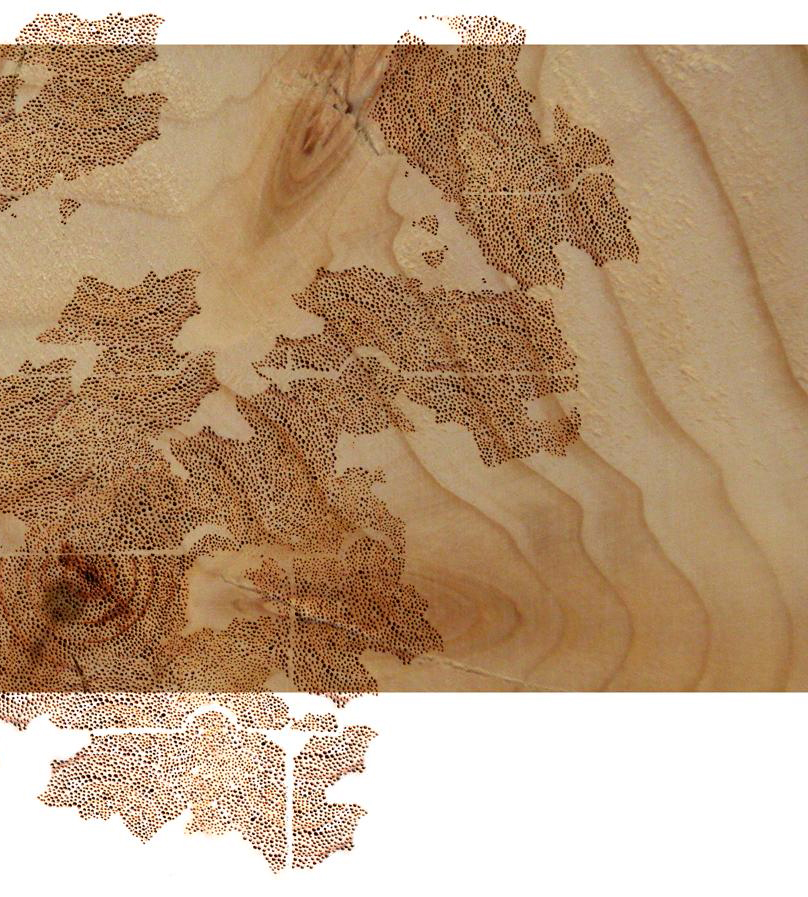 visuelprincipaldacceuil2.jpg