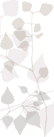 feuilles.jpg