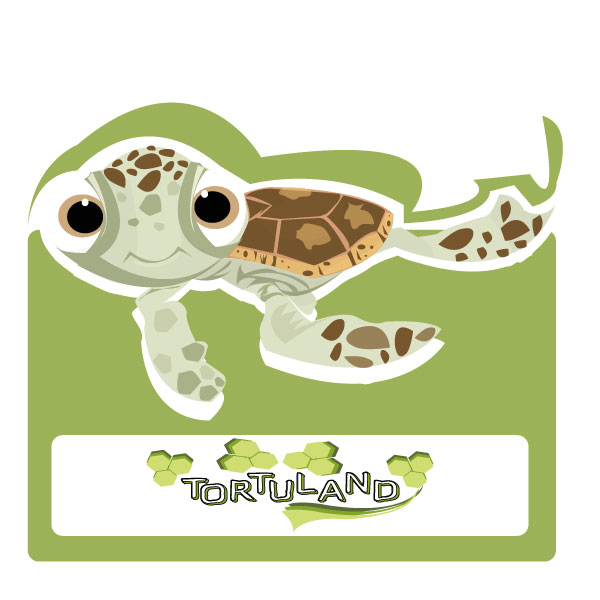 tortue.jpg