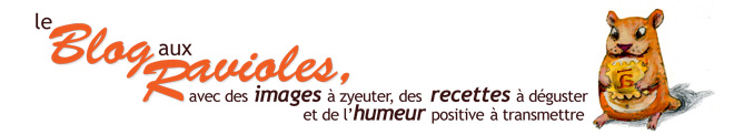 banniere_raviole.jpg
