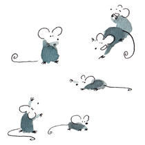 Les souris | julia weber