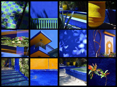 Majorelle | Cécile Manoha