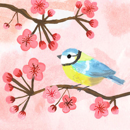 blossom bird | Angela Rozelaar
