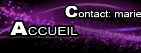 accueil book