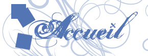 accueil book