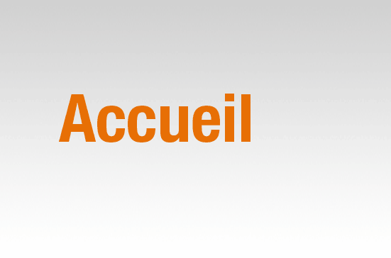 accueil book