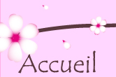 accueil book