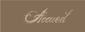 accueil book