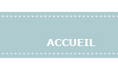 accueil book