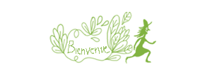 accueil book
