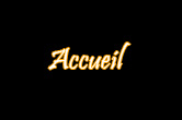 accueil book