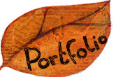 portefolio