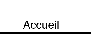 accueil book