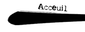 accueil book