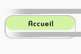 accueil book