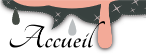 accueil book