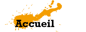 accueil book