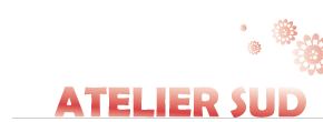 accueil book