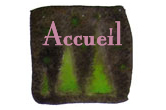 accueil book