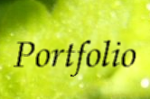 portefolio