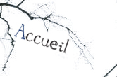 accueil book