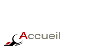 accueil book