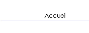 accueil book