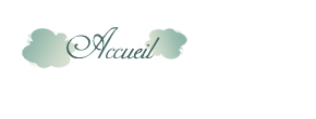 accueil book