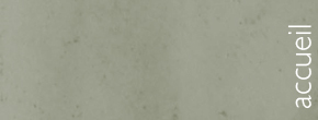 accueil book