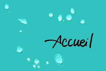 accueil book