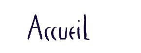 accueil book