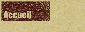 accueil book