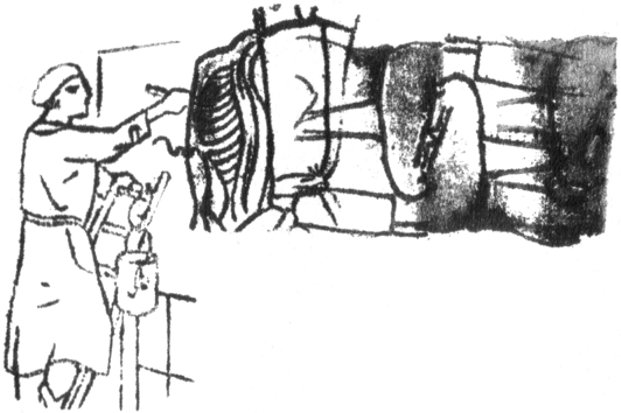 portefolio