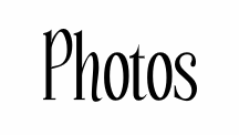 portefolio