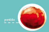 portefolio