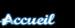 accueil book