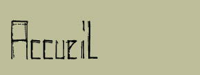 accueil book