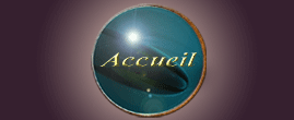 accueil book