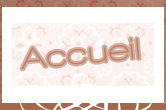 accueil book
