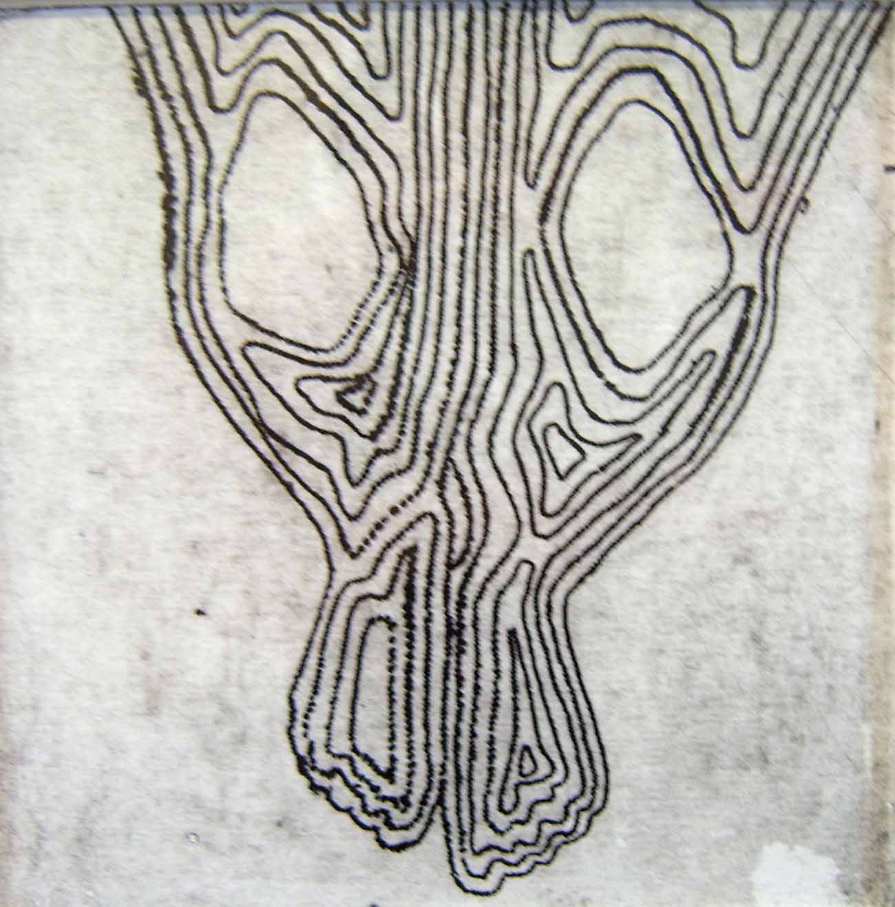 portefolio