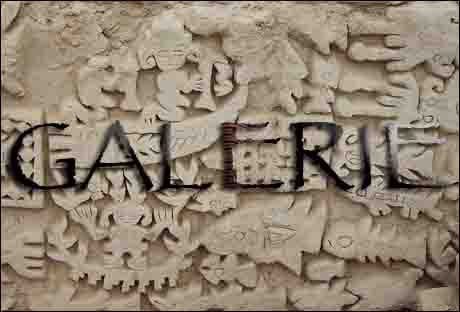 portefolio