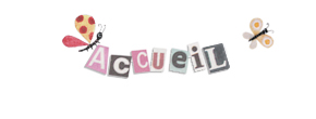 accueil book