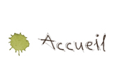 accueil book