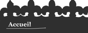 accueil book