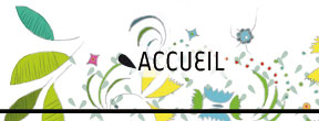 accueil book