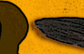 portefolio