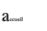 accueil book