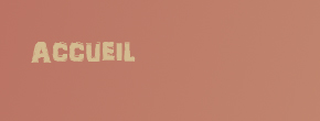 accueil book