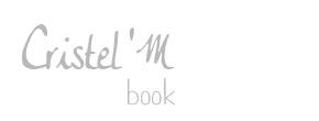 accueil book